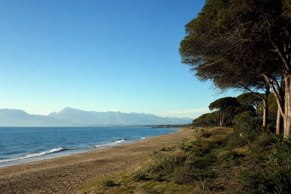 Quiet Belek coastline with umbrella pines and the Taurus Mountains in the distance, AI recreation